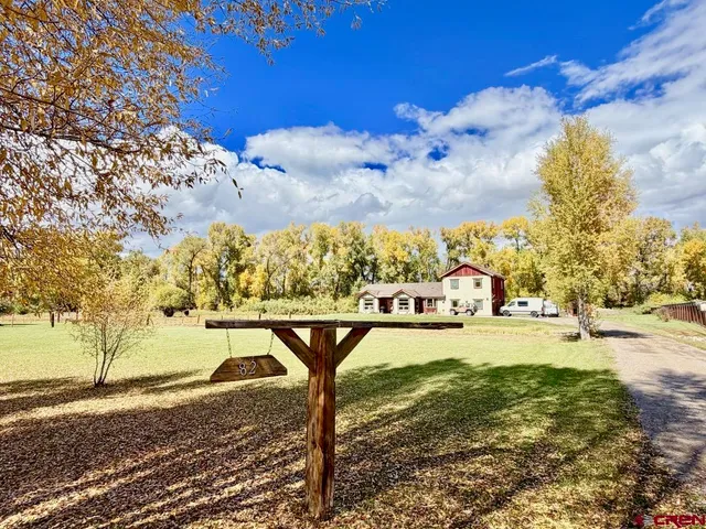 a view of yard with large trees