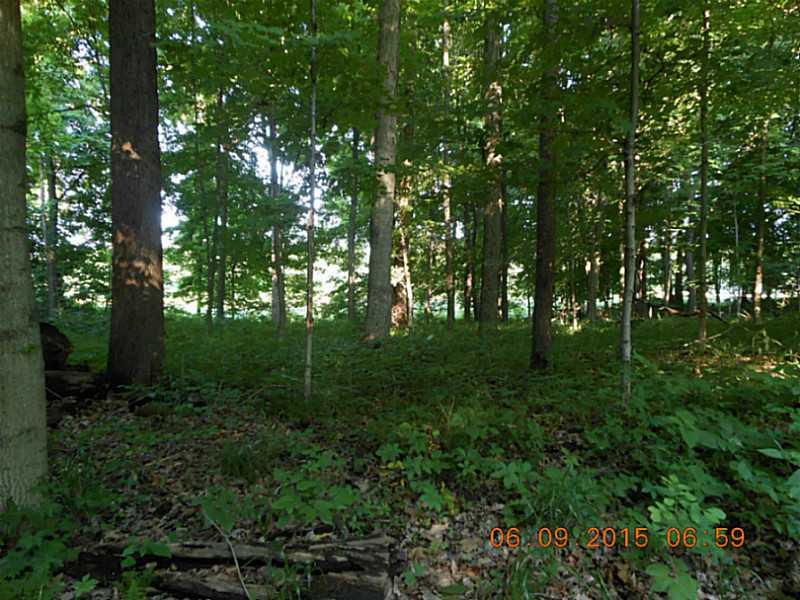 0 English Road Bloomingdale, IN 47832 - Photo 1 of 8