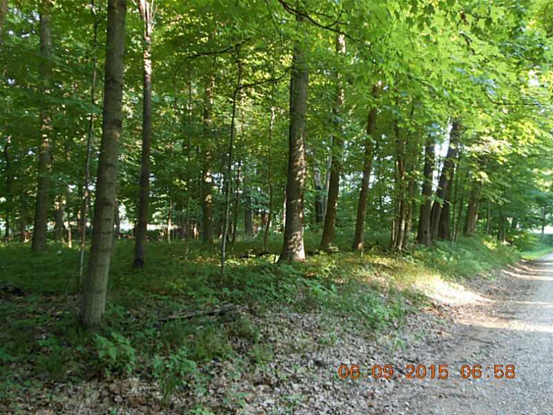 0 English Road Bloomingdale, IN 47832 - Photo 3 of 8