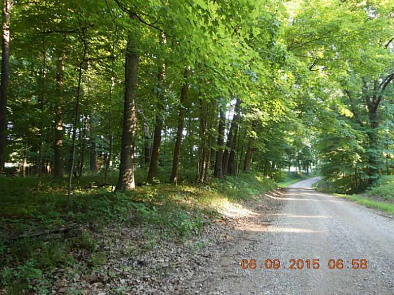 0 English Road Bloomingdale, IN 47832 - Photo 4 of 8