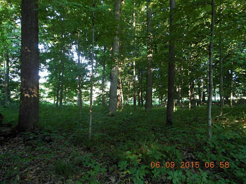 0 English Road Bloomingdale, IN 47832 - Photo 5 of 8