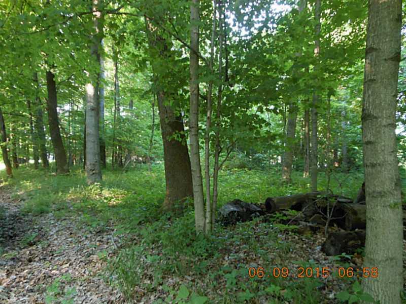 0 English Road Bloomingdale, IN 47832 - Photo 6 of 8