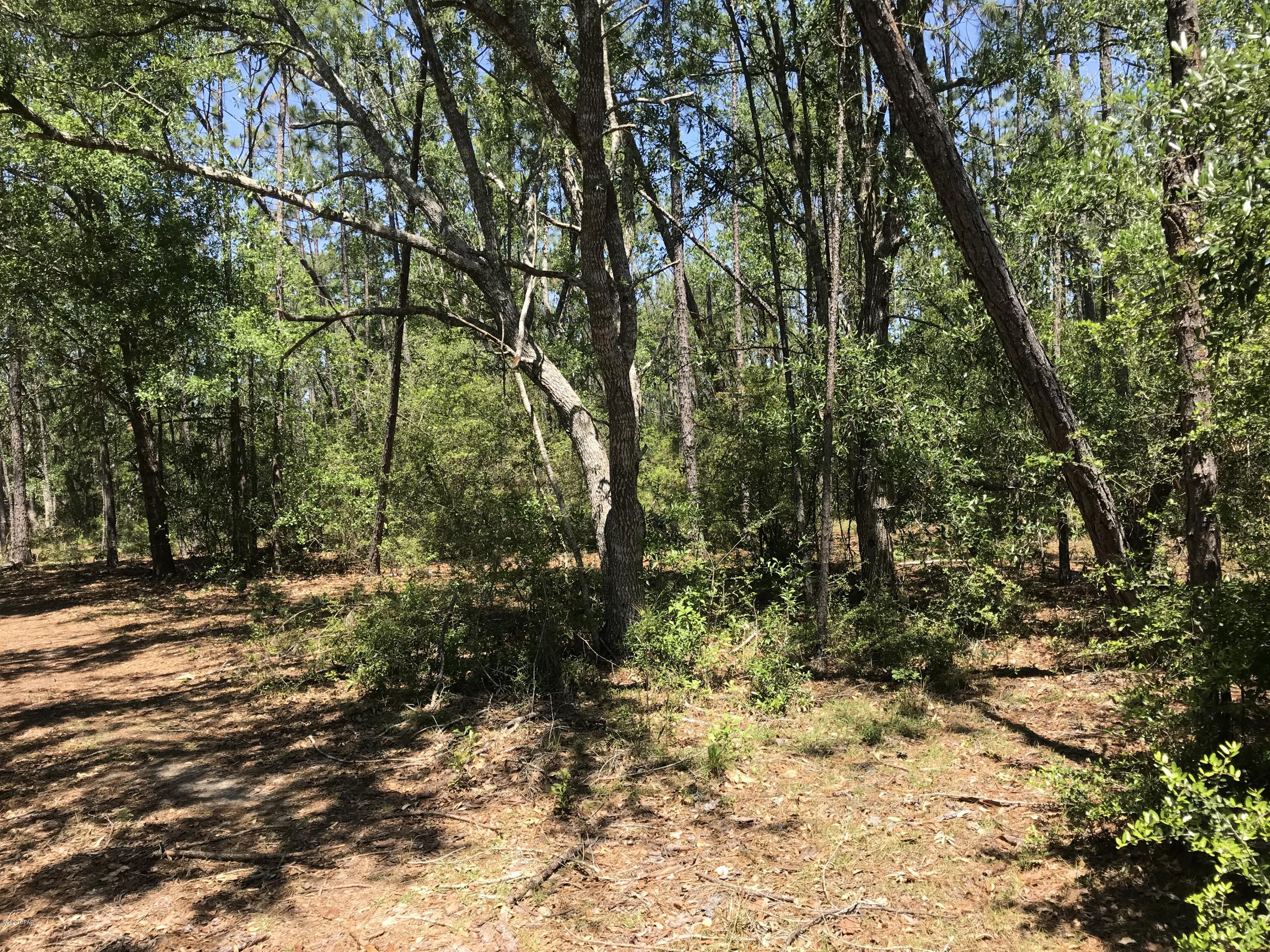 770 Cornwell Road Alford, FL 32420 - Photo 15 of 20