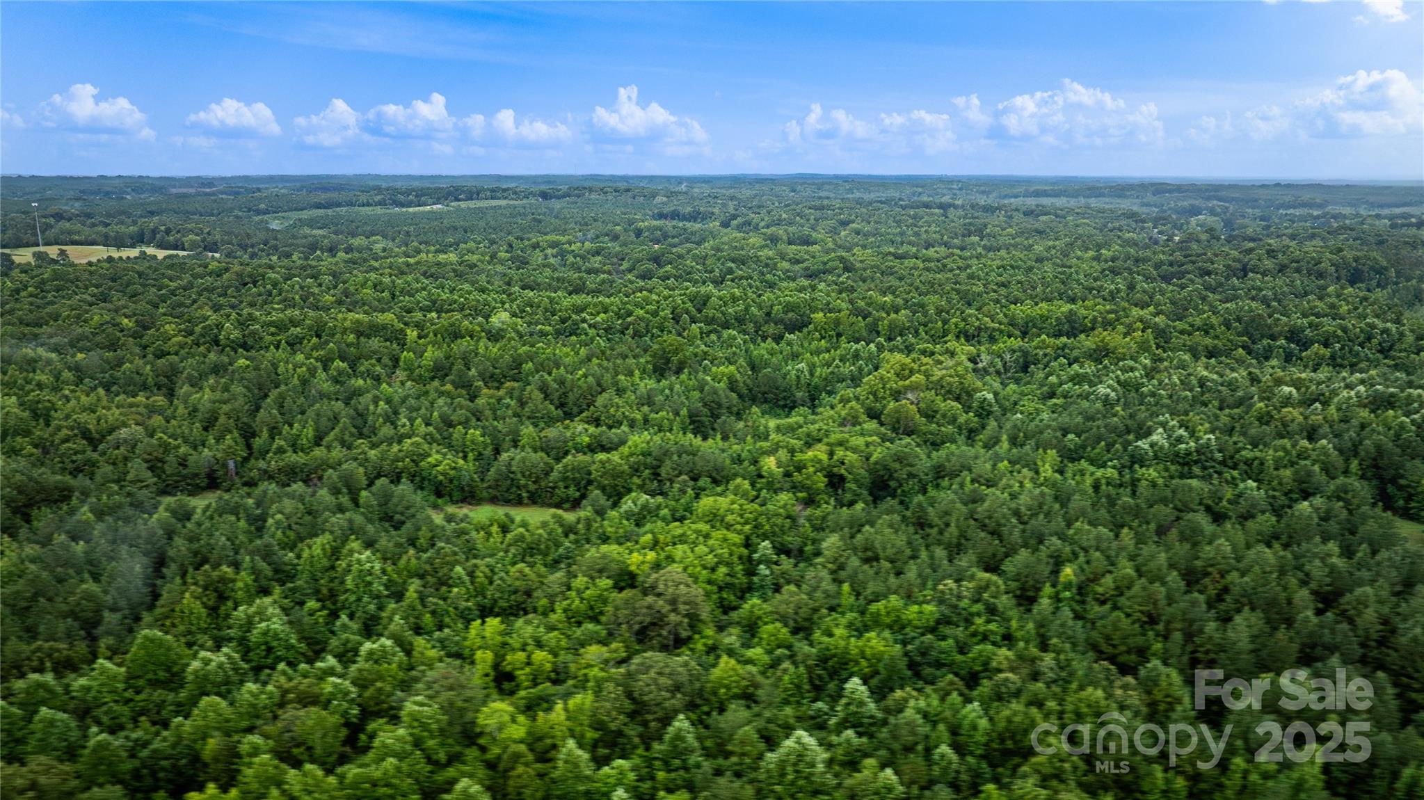 0 Daystar Road, Unit 12 Lancaster, SC 29720 - Photo 11 of 19