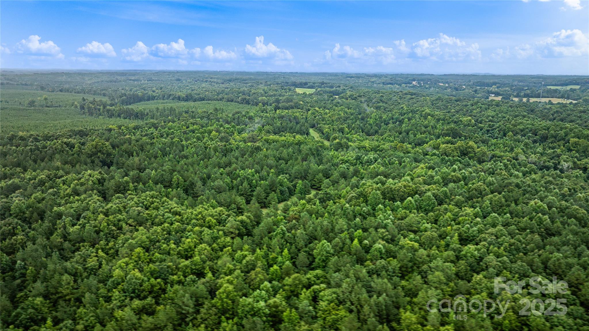 0 Daystar Road, Unit 12 Lancaster, SC 29720 - Photo 15 of 19