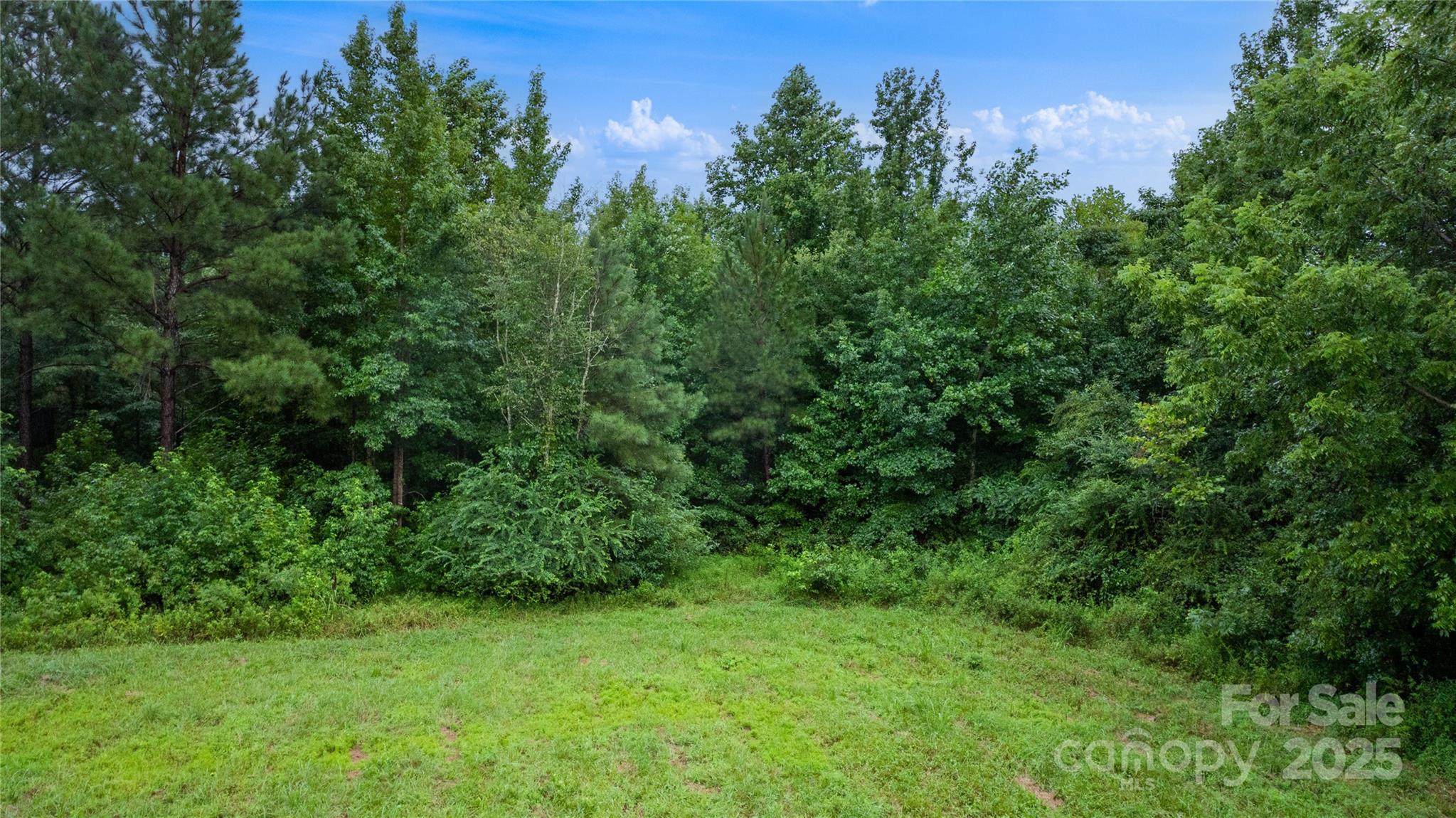 0 Daystar Road, Unit 12 Lancaster, SC 29720 - Photo 17 of 19