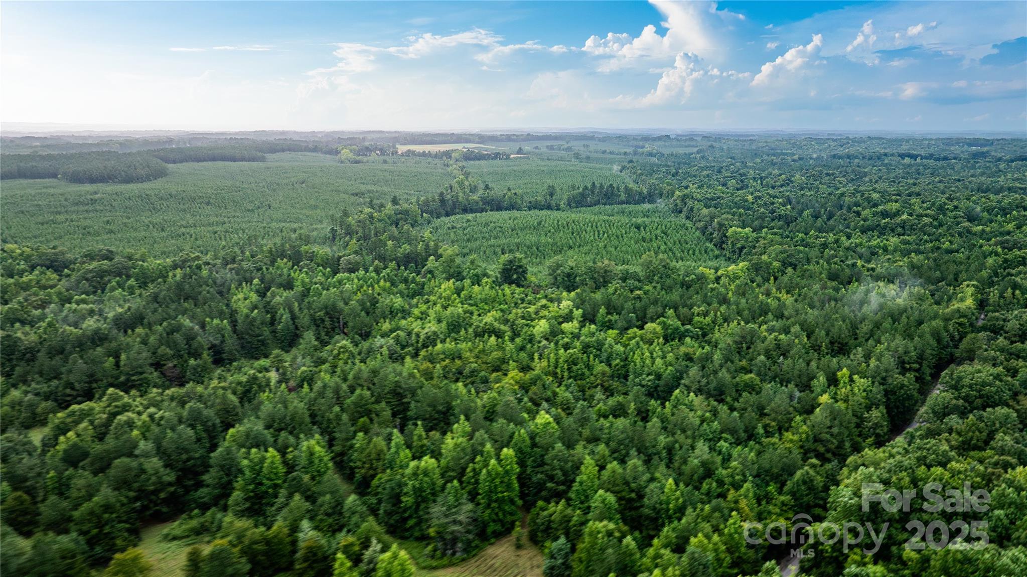 0 Daystar Road, Unit 12 Lancaster, SC 29720 - Photo 6 of 19
