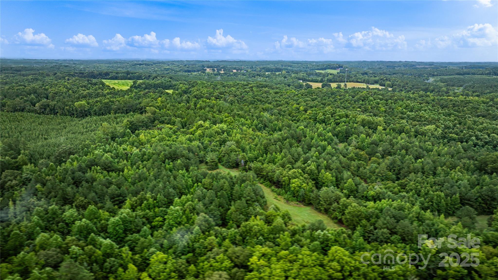 0 Daystar Road, Unit 12 Lancaster, SC 29720 - Photo 10 of 19