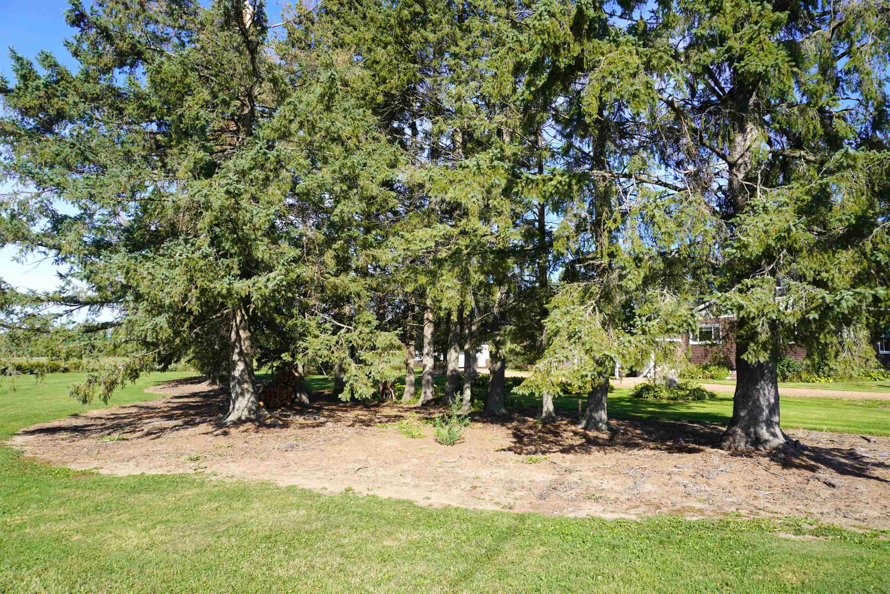 N357 County Road X Merrill, WI 54452 - Photo 47 of 54 Gallery Image 47