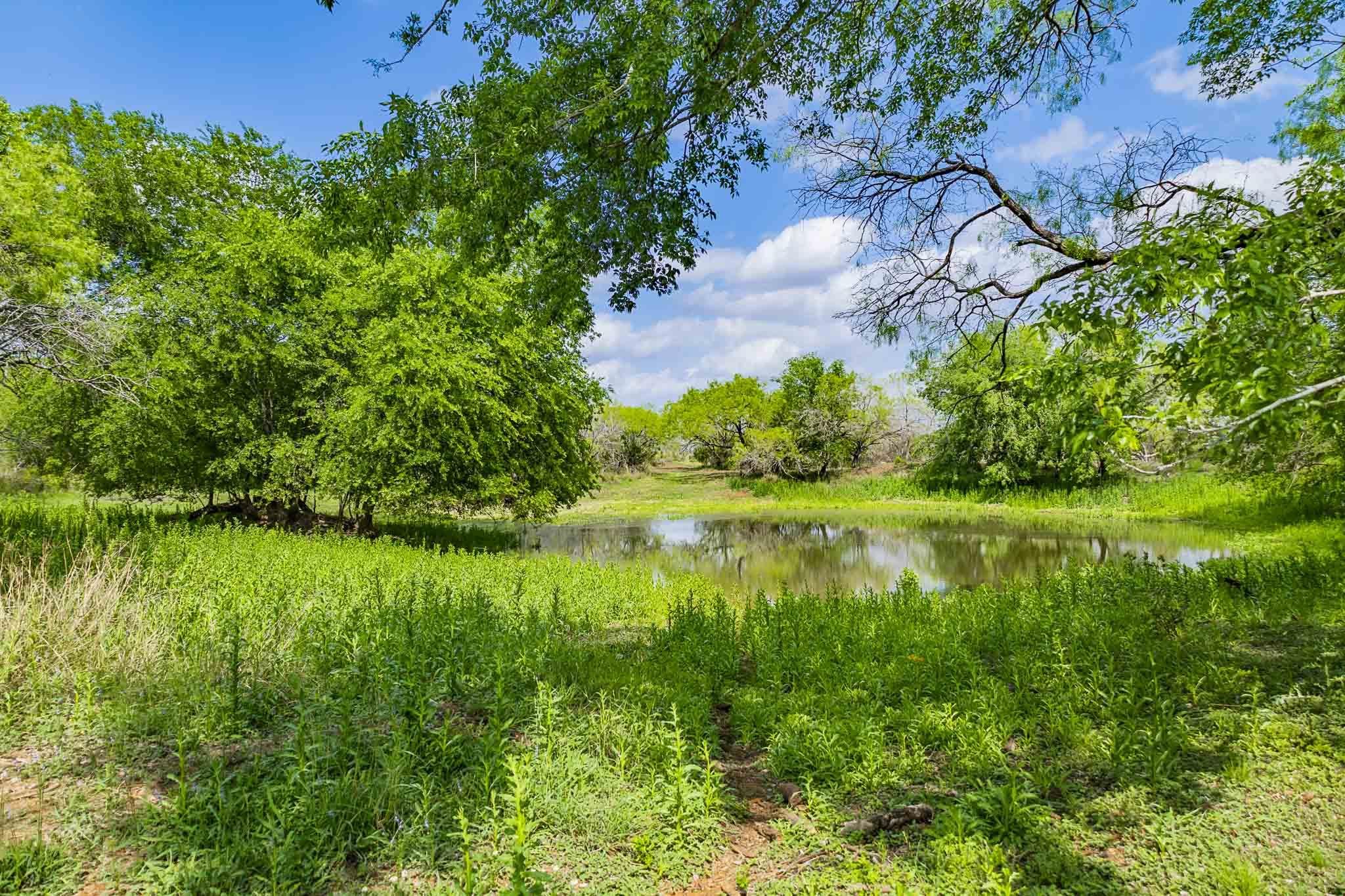 0 Bluntzer Road Jourdanton, TX 78026 - Photo 12 of 30 a view of a garden with a lake
