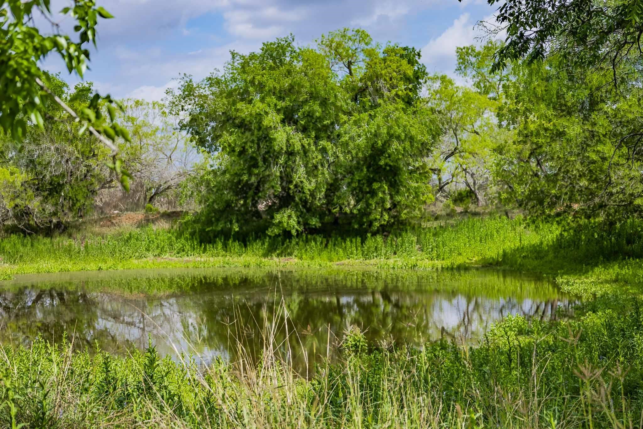 0 Bluntzer Road Jourdanton, TX 78026 - Photo 13 of 30 a view of a lake view with a garden