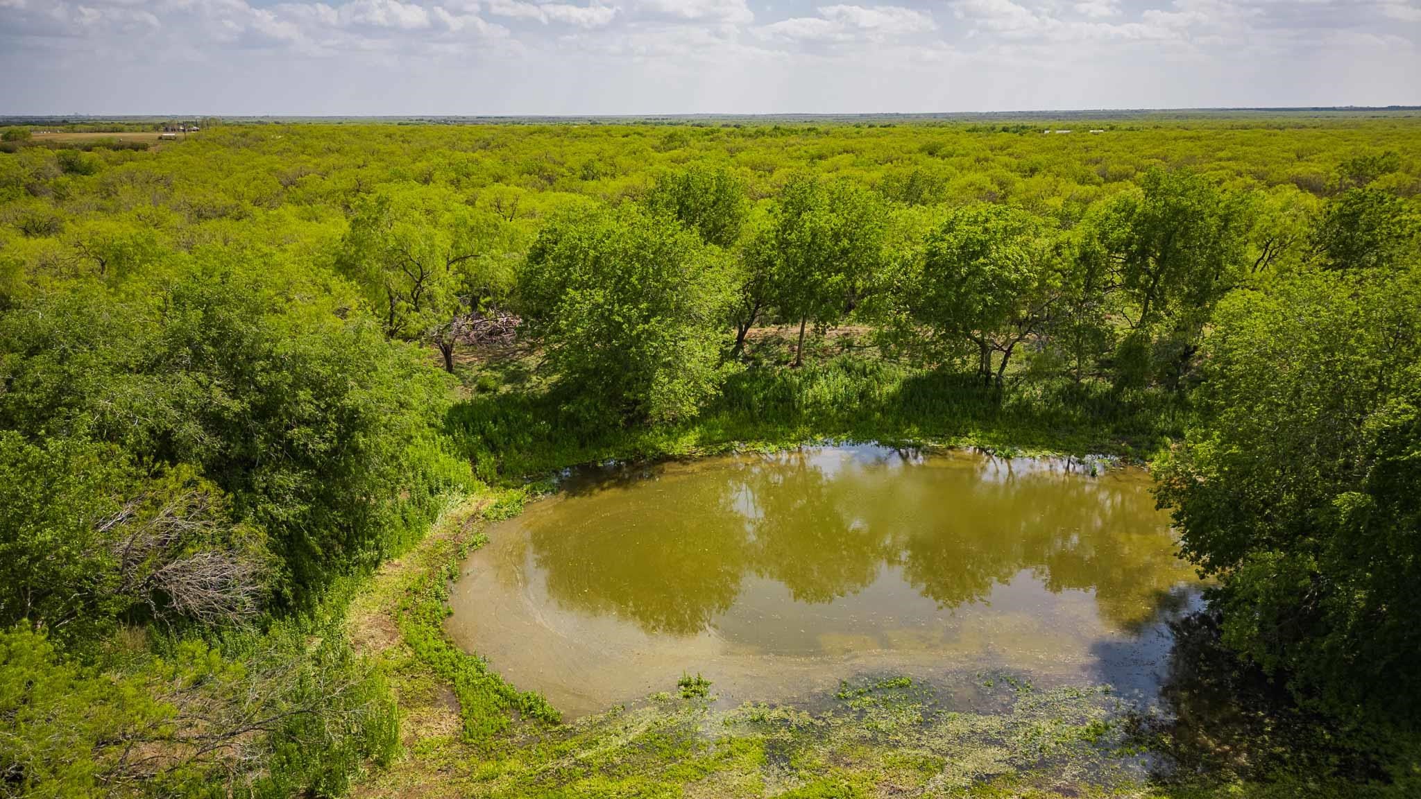 0 Bluntzer Road Jourdanton, TX 78026 - Photo 24 of 30 a view of outdoor space and yard