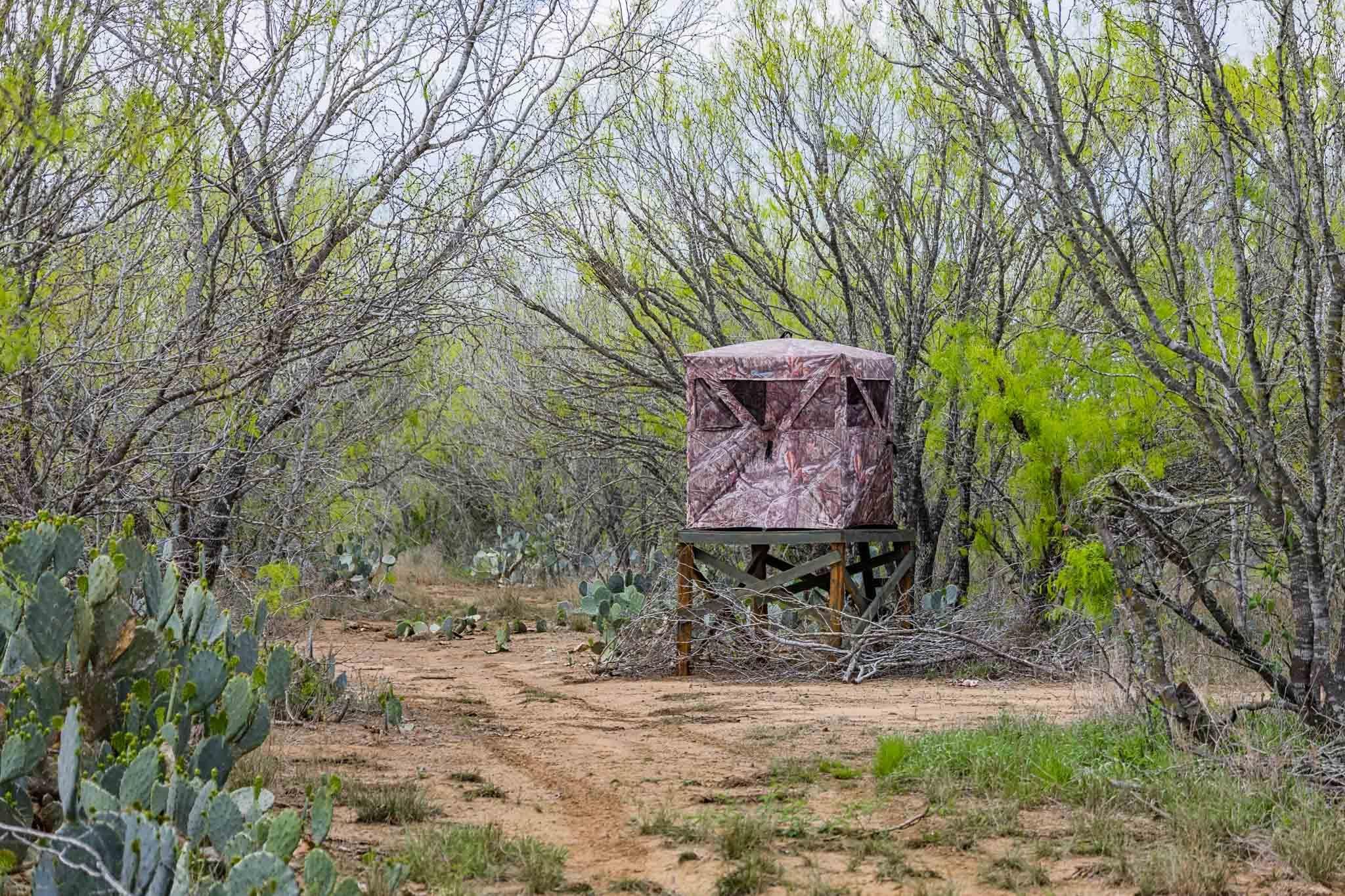 0 Bluntzer Road Jourdanton, TX 78026 - Photo 8 of 30 a sign that is sitting in the middle of a forest