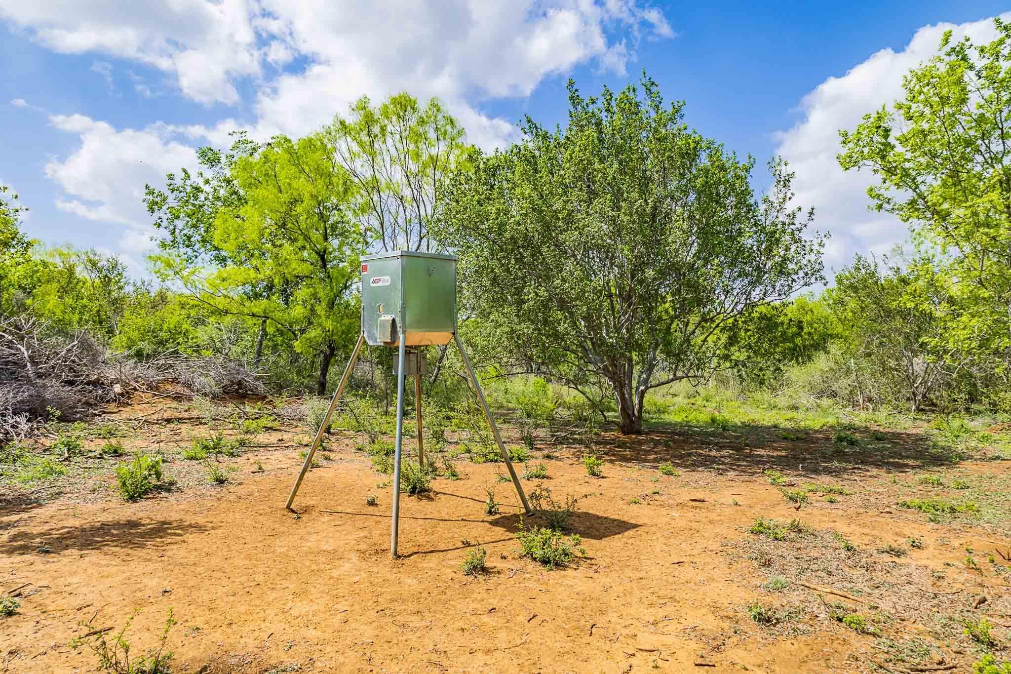 0 Bluntzer Road Jourdanton, TX 78026 - Photo 9 of 30 a view of backyard of a house