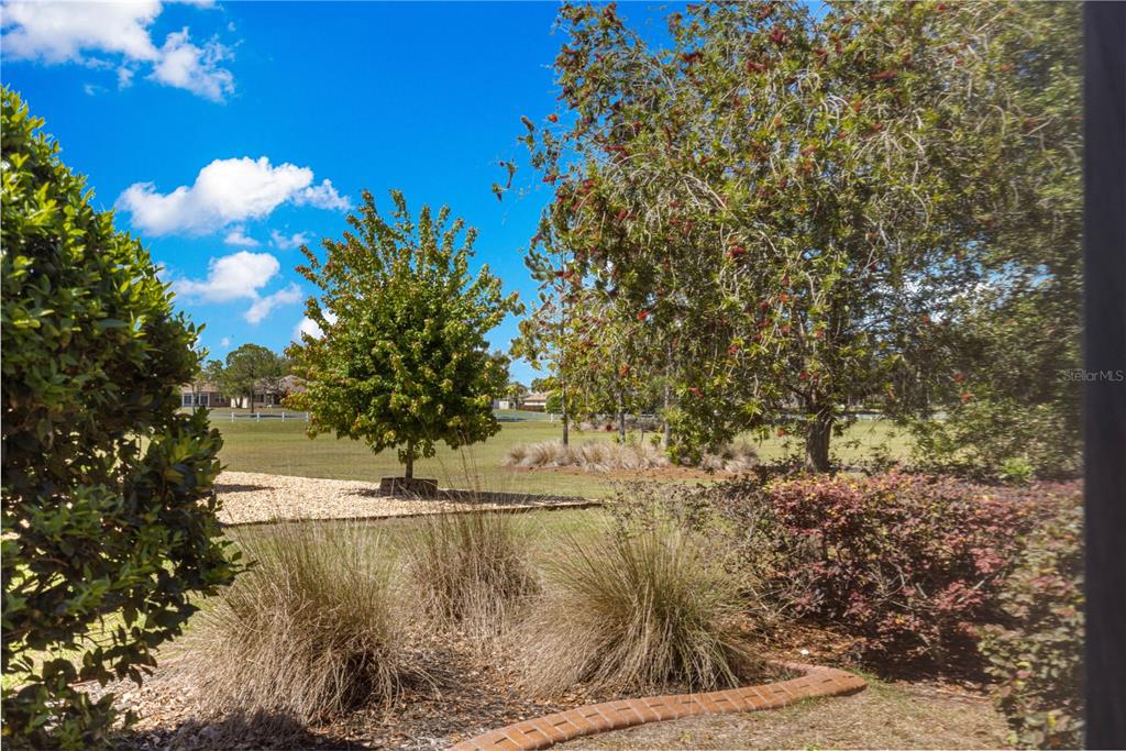 9460 Southwest 86th Place Ocala, FL 34481 - Photo 68 of 86