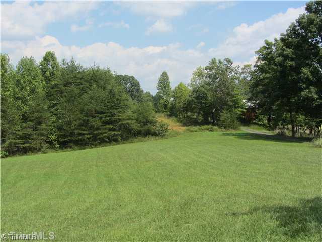 390 Duggins Road Stoneville, NC 27048 - Photo 2 of 13 Yard/Garden.