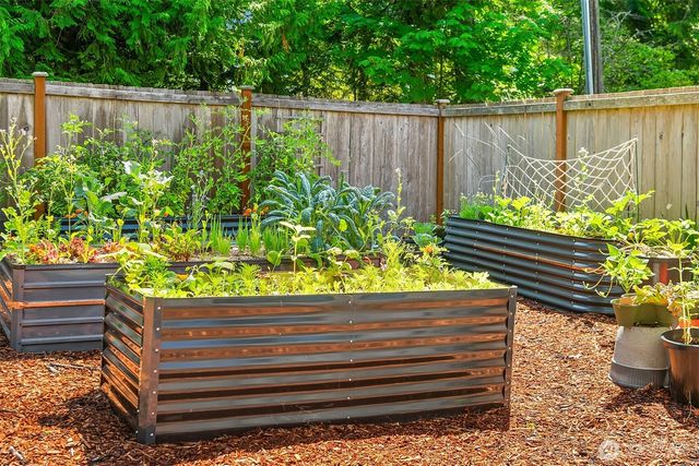 a view of a yard with plants and a large tree