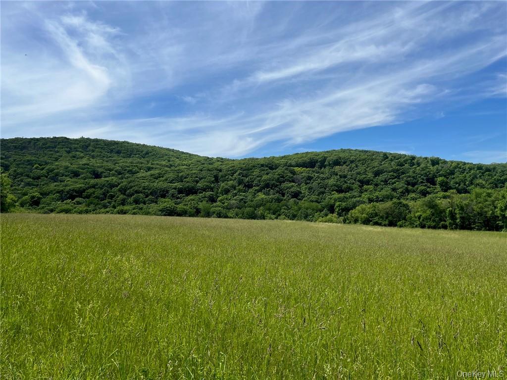 Perrys Corners Road Amenia, NY 12501 - Photo 8 of 14 View of mountain feature