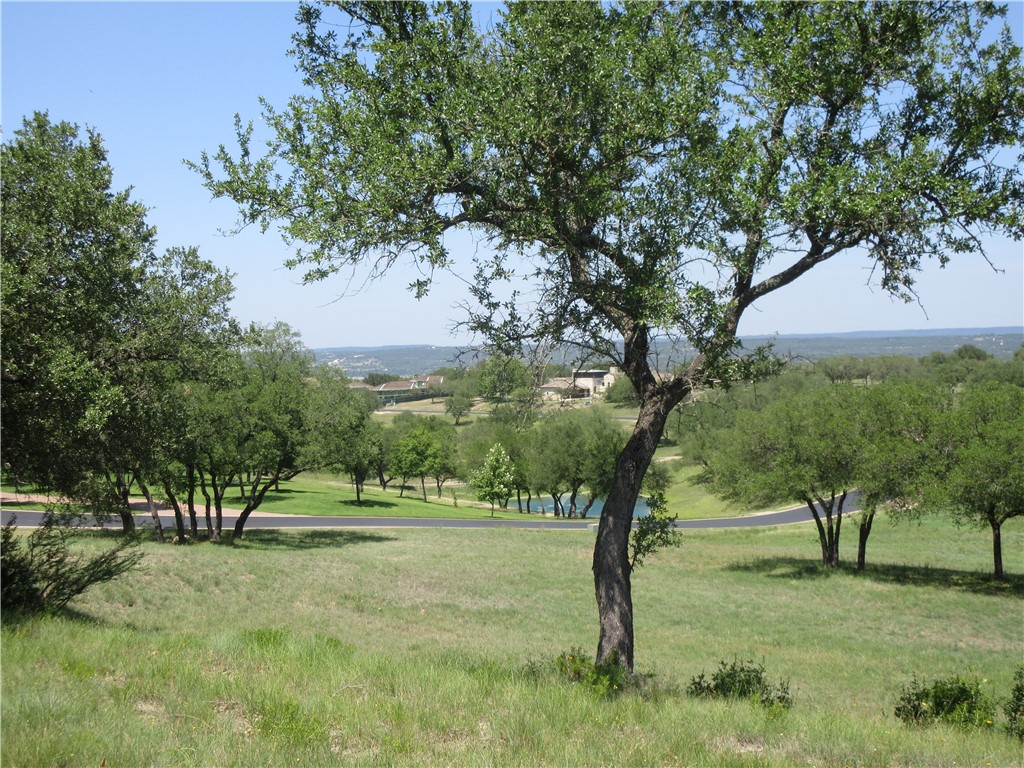 a view of backyard with tree