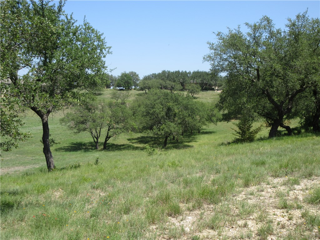 113 Quail Point Spicewood, TX 78669 - Photo 2 of 14 a view of a lush green space