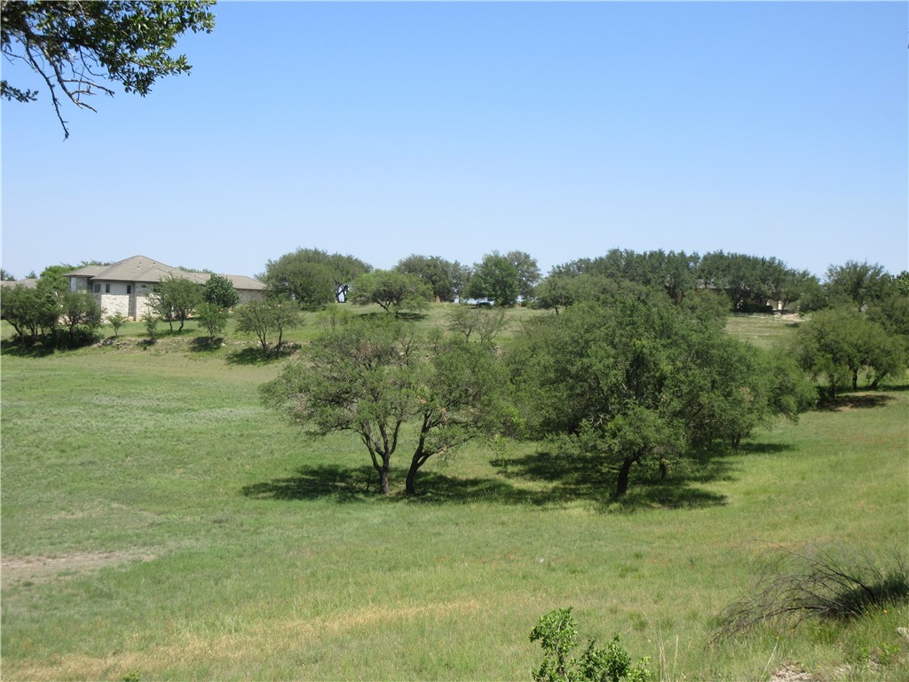 113 Quail Point Spicewood, TX 78669 - Photo 4 of 14 a view of a field with an trees