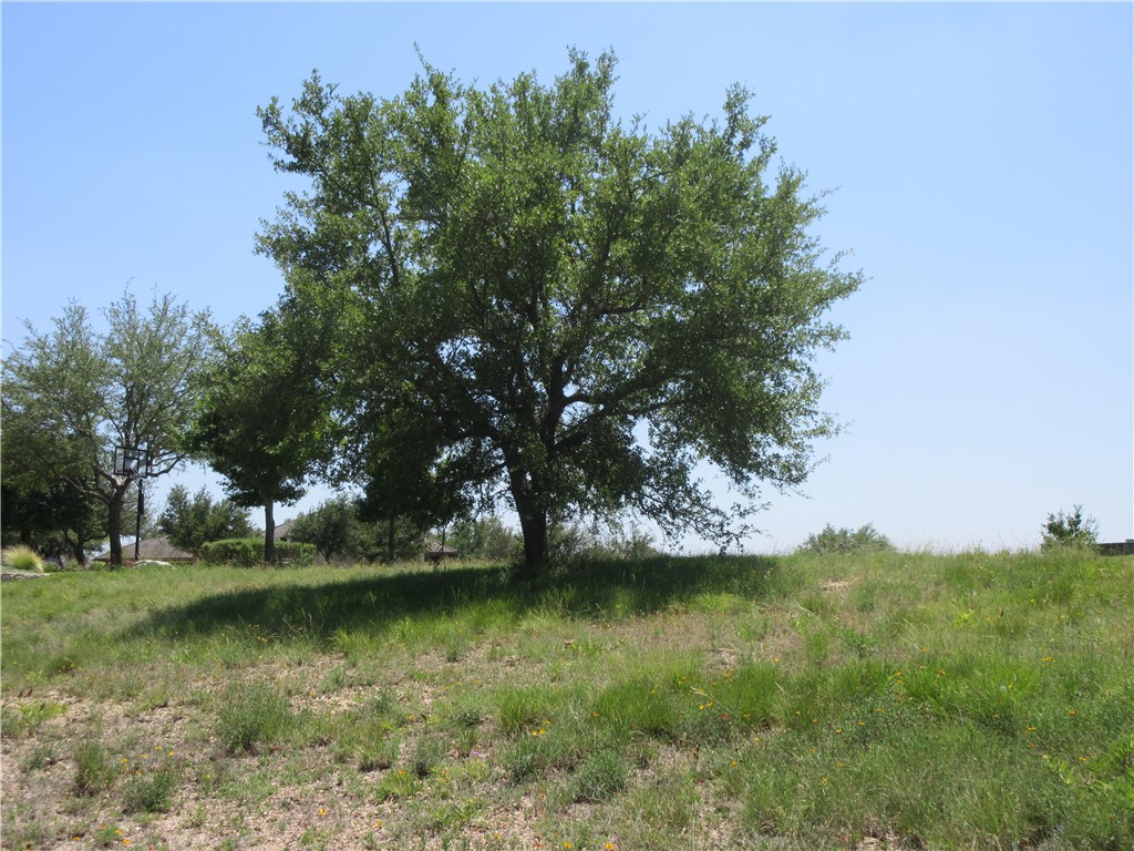 113 Quail Point Spicewood, TX 78669 - Photo 6 of 14 a view of lake background with houses