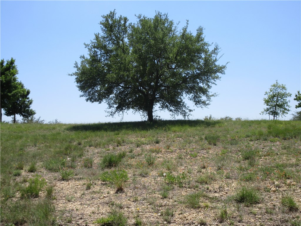 113 Quail Point Spicewood, TX 78669 - Photo 7 of 14