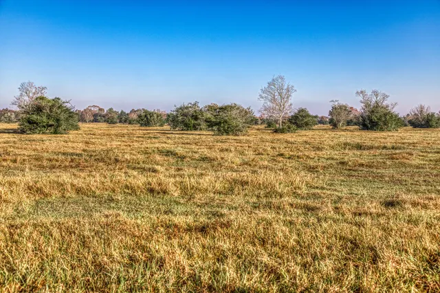 $1,200,000 | Tbd Bauer Hockley Road, Hockley, TX 77447