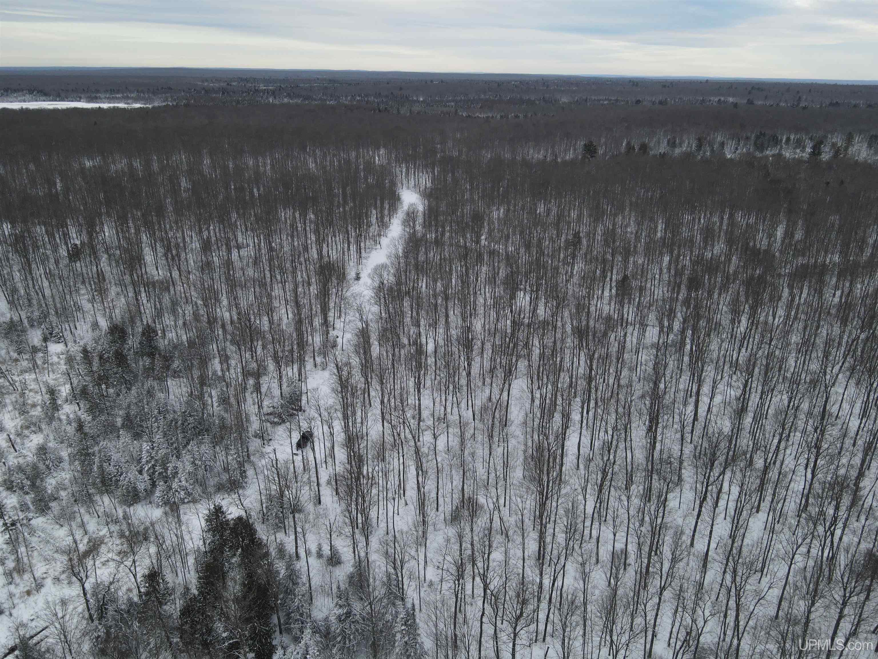 80-acr 80-acr Ford Road Watton, MI 49970 - Photo 7 of 17