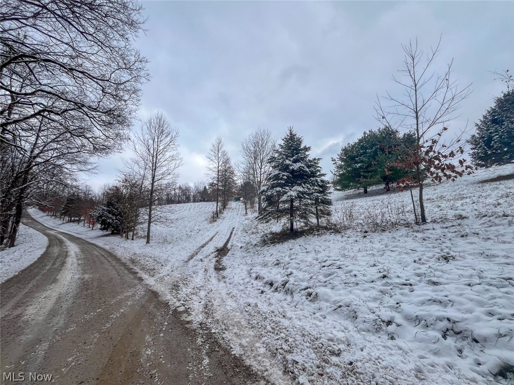 87085 Crall Road Scio, OH 43988 - Photo 17 of 30