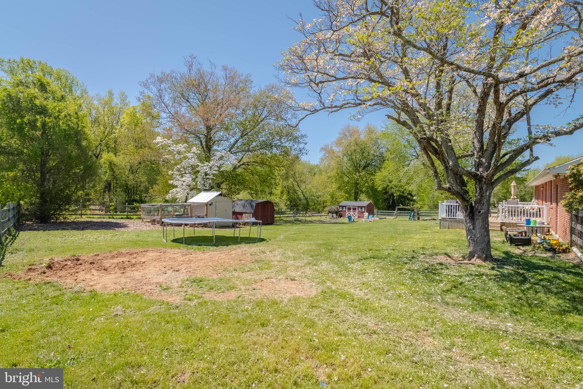 4007 Lee Road Aberdeen, MD 21001 - Photo 50 of 57 a view of backyard with tree