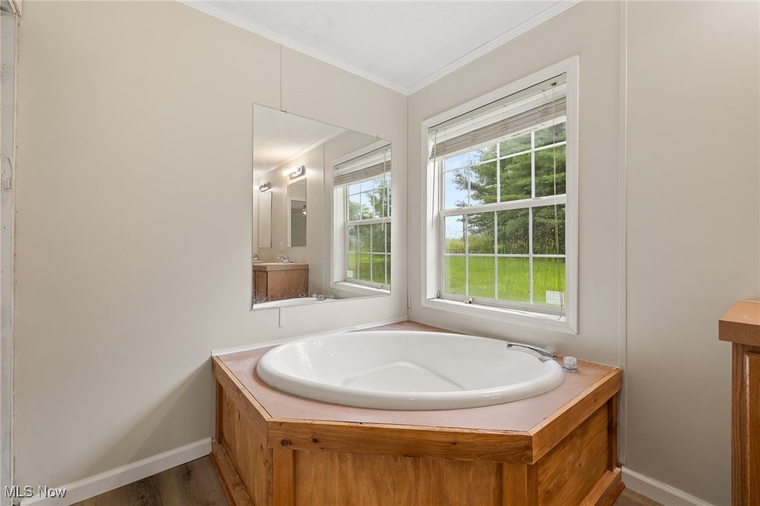 4838 Angling Rd Extension Wooster, OH 44691 - Photo 20 of 39 Bathroom featuring crown molding, a garden tub, vanity, and wood finished floors
