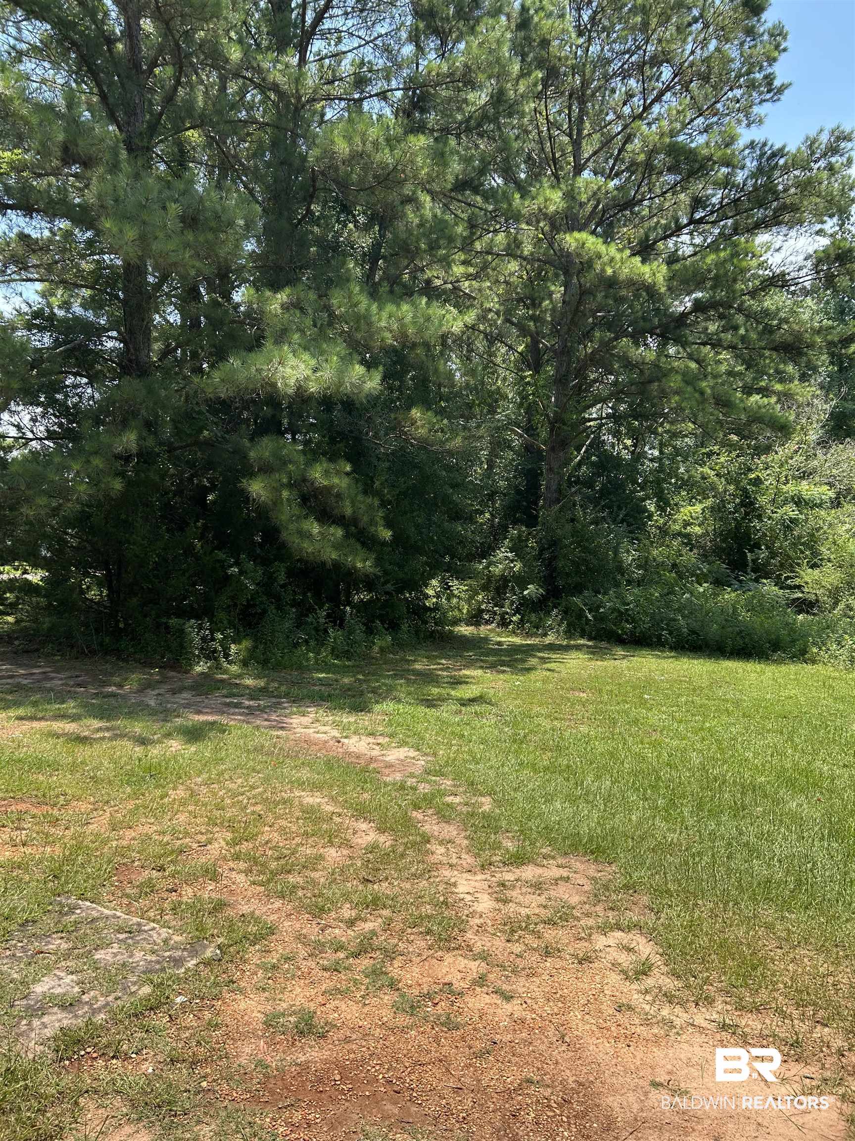 0 Factory Street Evergreen, AL 36401 - Photo 6 of 9 View of green lawn