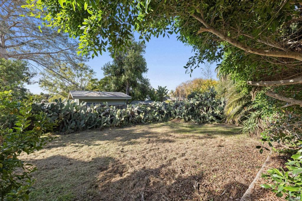 844 Saxony Road Encinitas, CA 92024 - Photo 27 of 31 a view of a yard with plants and trees
