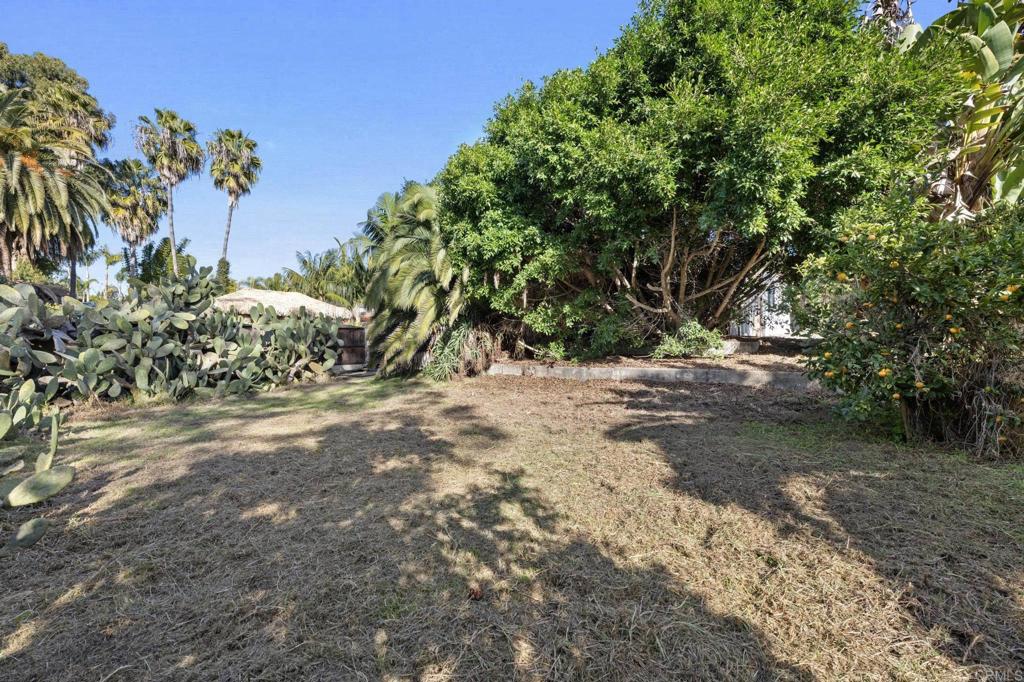 844 Saxony Road Encinitas, CA 92024 - Photo 28 of 31 a view of outdoor space and yard