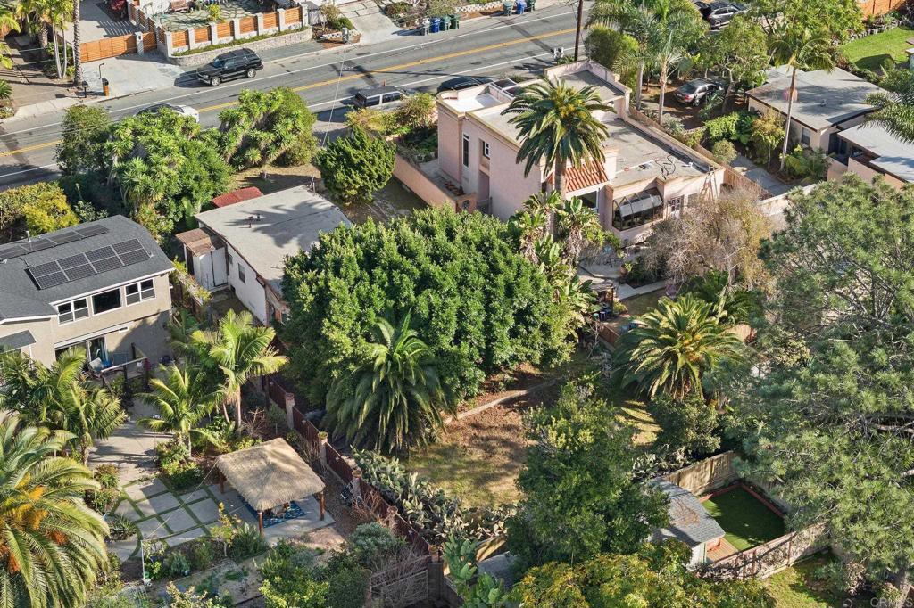 844 Saxony Road Encinitas, CA 92024 - Photo 30 of 31 a picture of plants