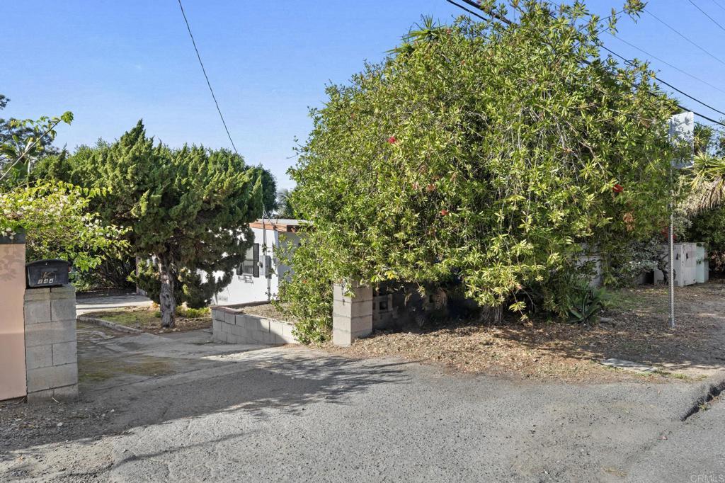 844 Saxony Road Encinitas, CA 92024 - Photo 5 of 31 a view of a street with potted plants and large trees