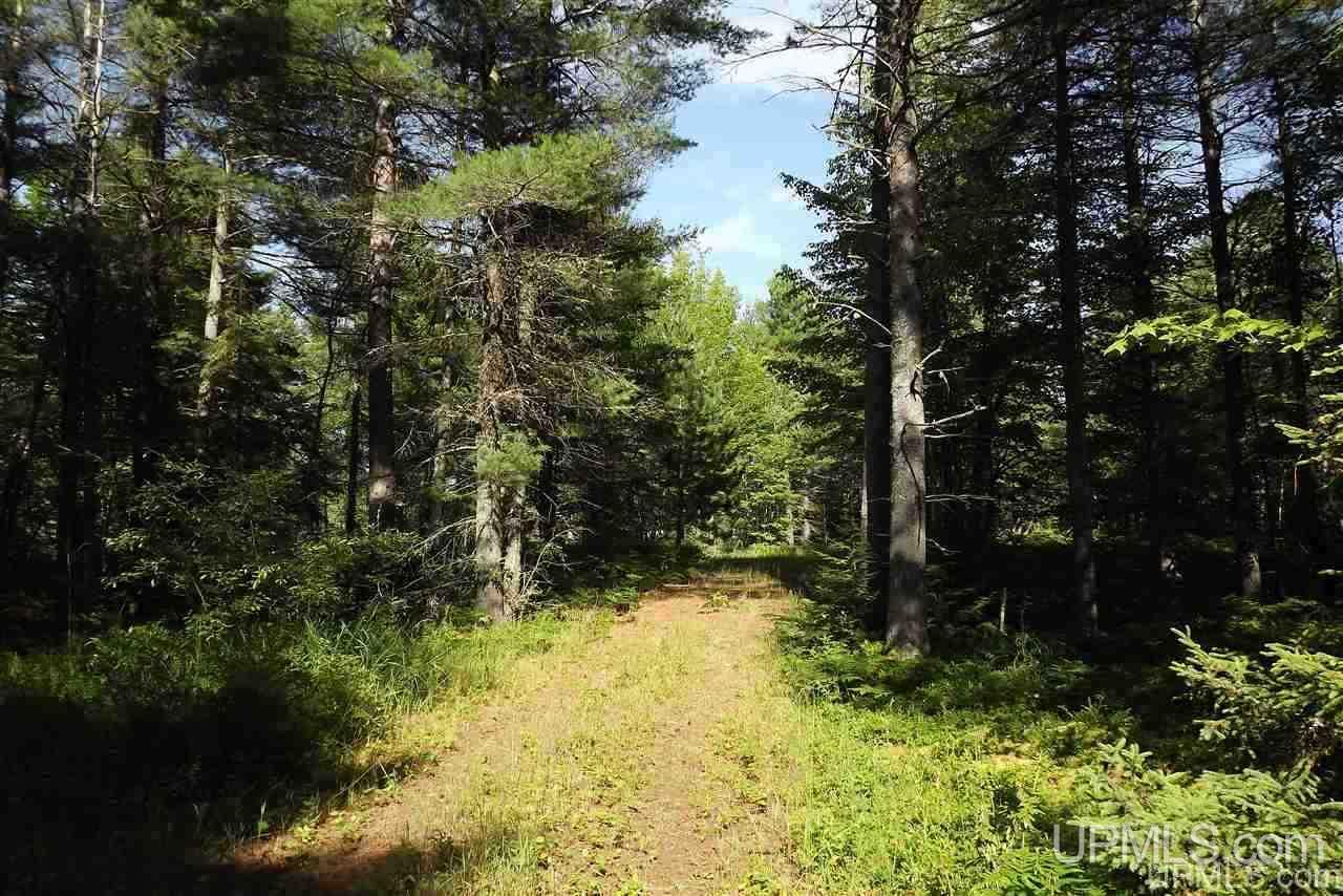 Tbd Rice Lake Road, Unit 3 Lake Linden, MI 49945 - Photo 14 of 16 Gallery Image 14