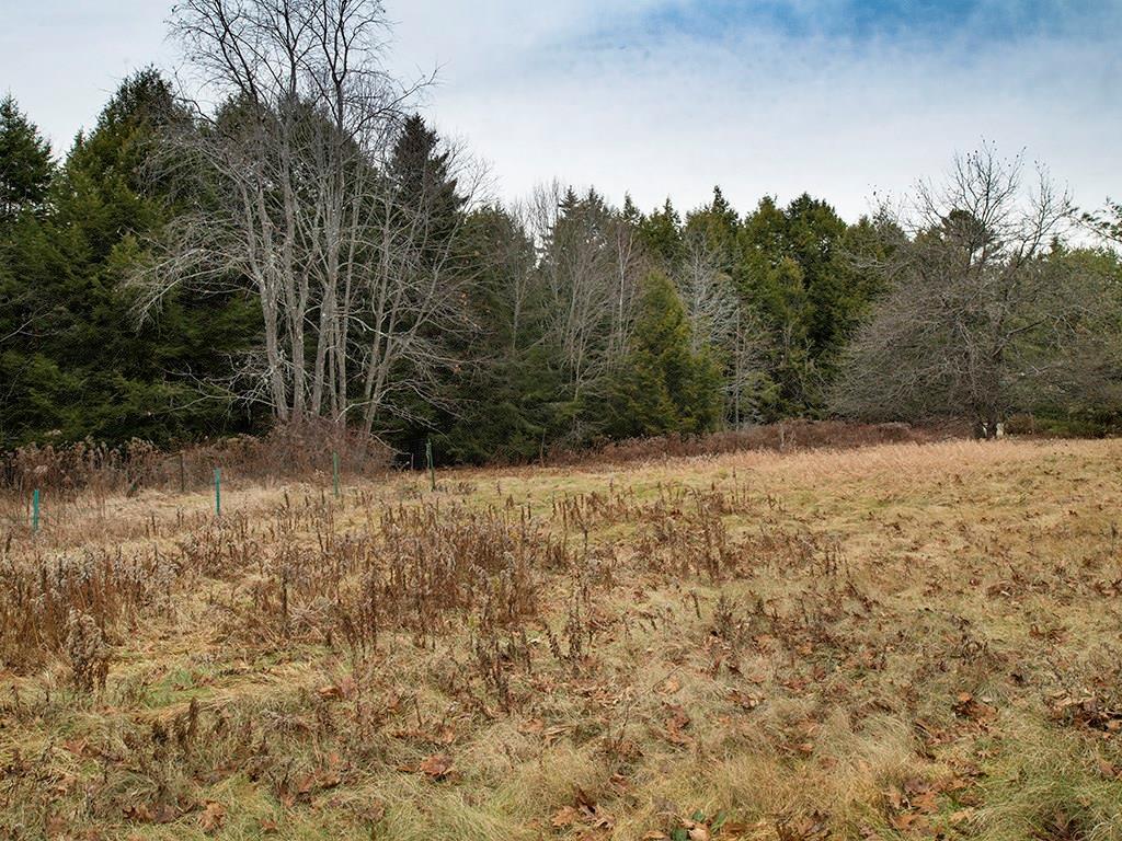 116 South Freeport Road Freeport, ME 04032 - Photo 5 of 28 Beautiful 2 Acre Lot Abuts Conservation