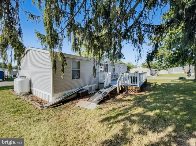 a view of a room with a tree and a bench