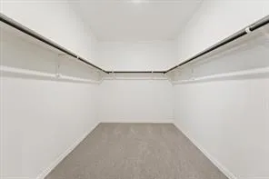 a view of a back yard