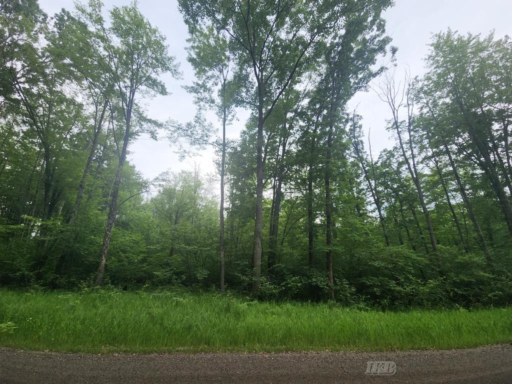 1-acre West Monroe Road Harrison, MI 48625 - Photo 20 of 22 Gallery Image 20