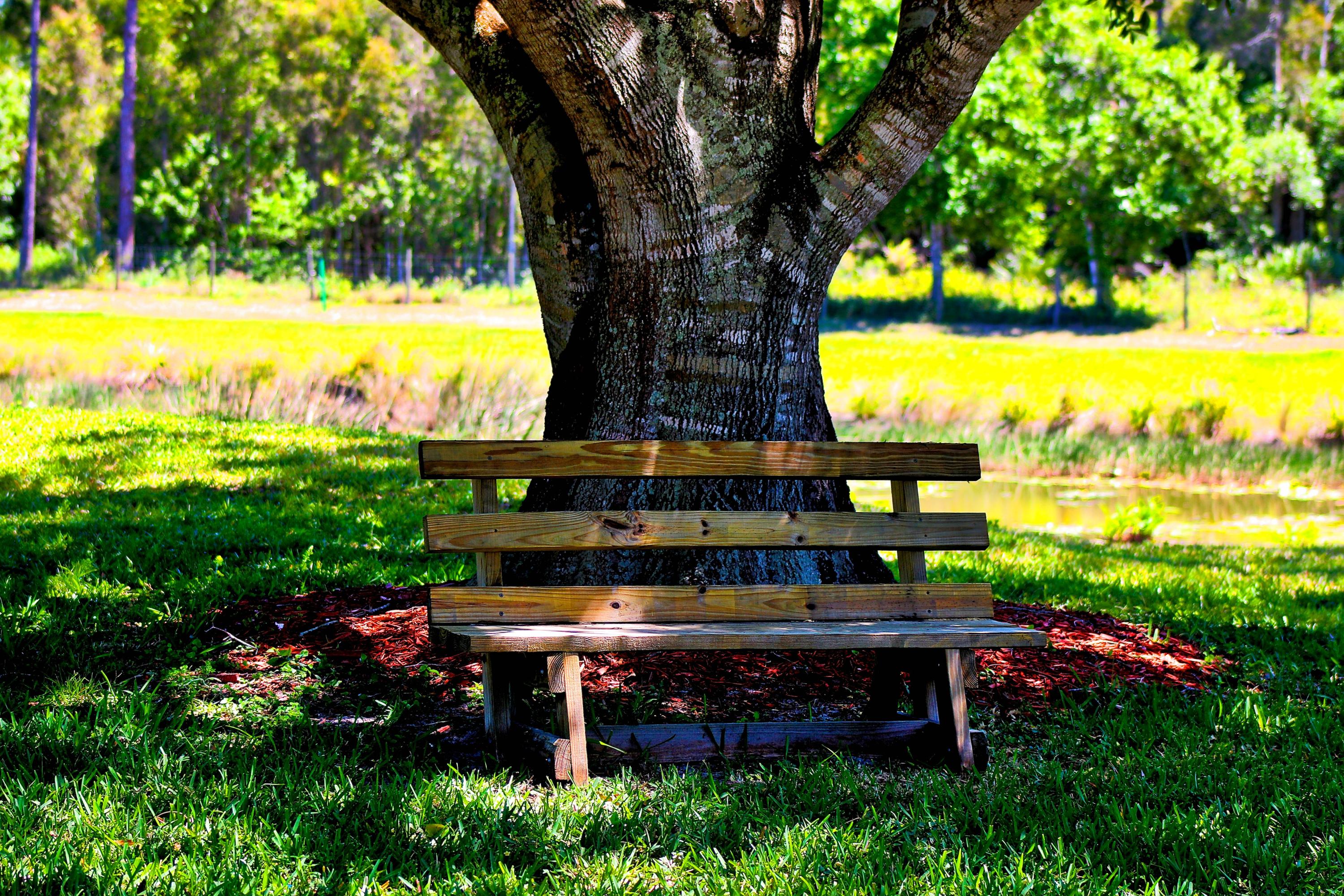 8841 First Tee Road Port St. Lucie, FL 34986 - Photo 170 of 228 147 Phipps Park Bench #2