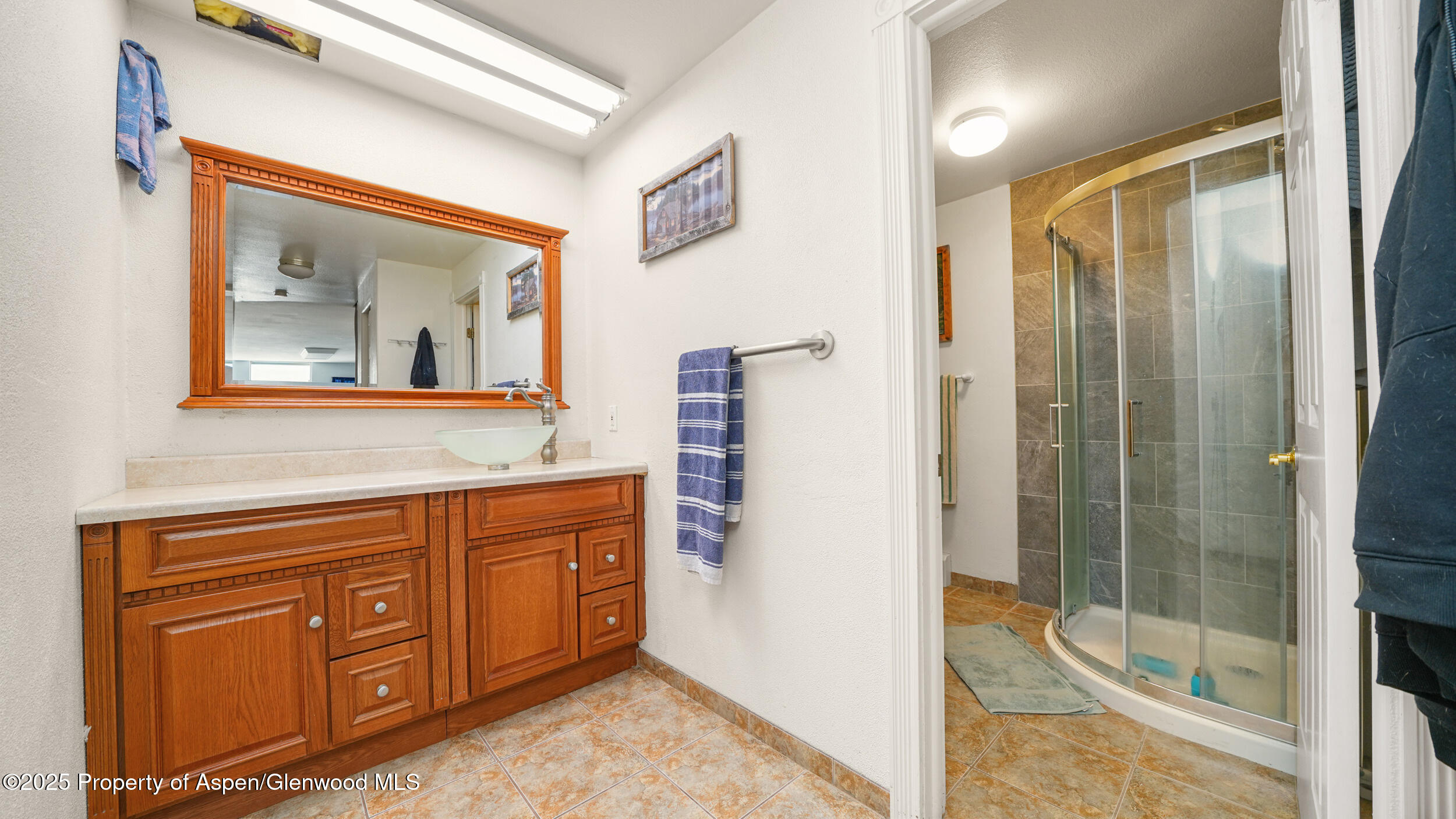 949 Edelweiss Court Rifle, CO 81650 - Photo 27 of 40 Lower Level Bathroom