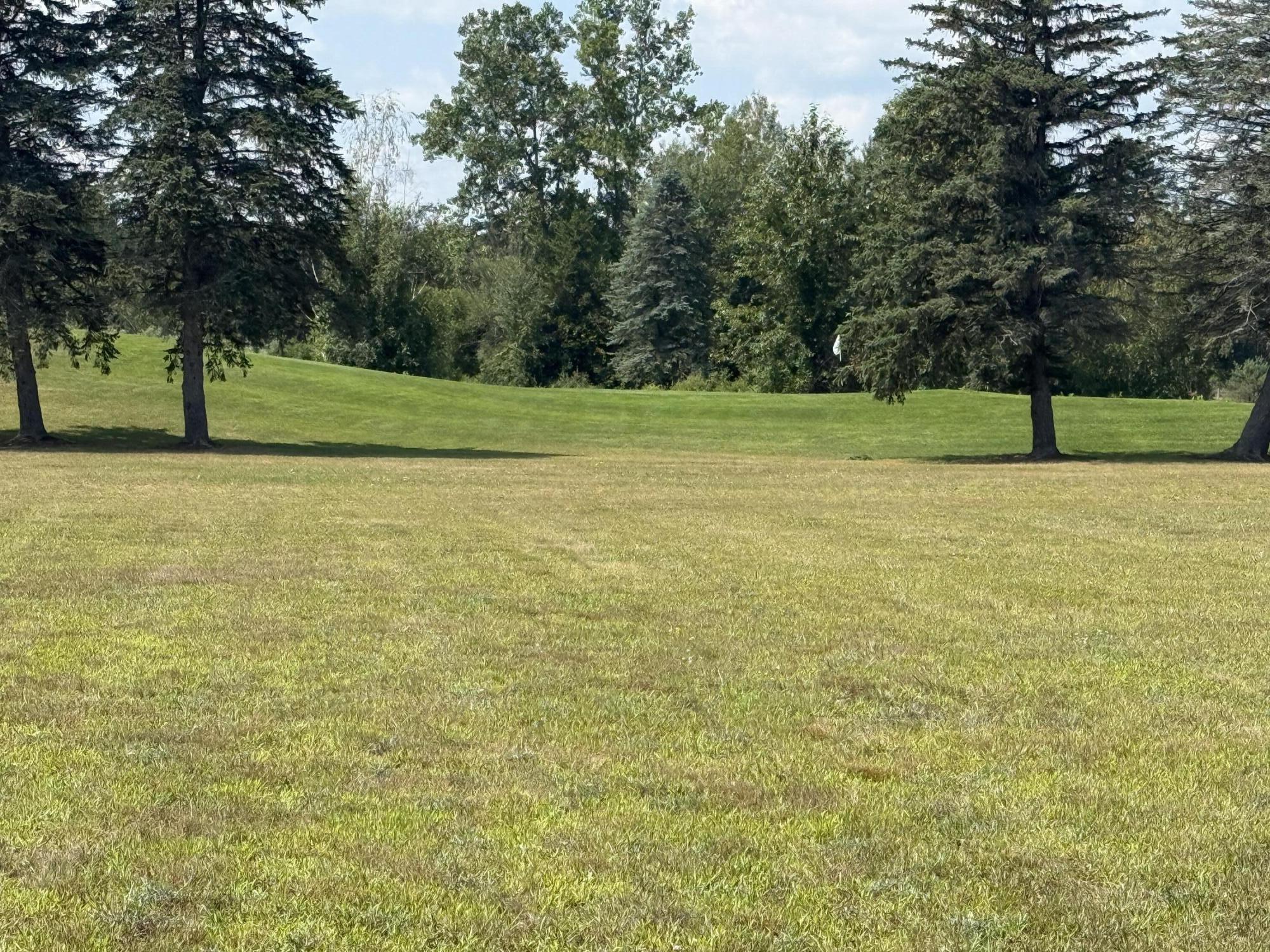 7533 Ryans Run Road Canadian Lakes, MI 49346 - Photo 6 of 10 IMG_0981