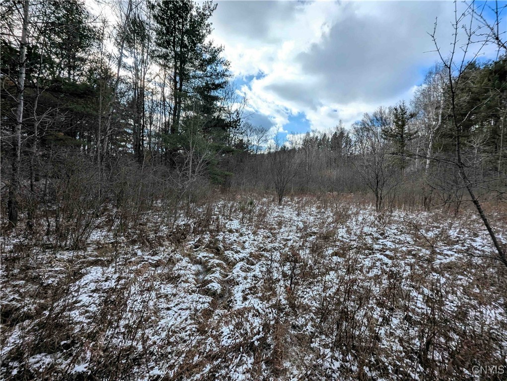 Angel Road Cameron, NY 14819 - Photo 11 of 32