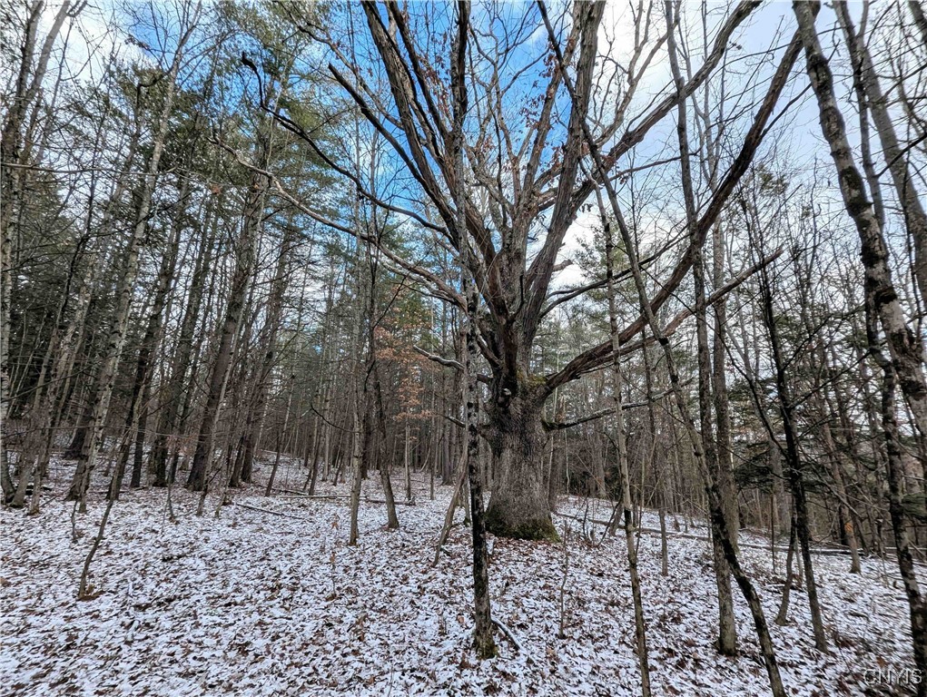 Angel Road Cameron, NY 14819 - Photo 13 of 32