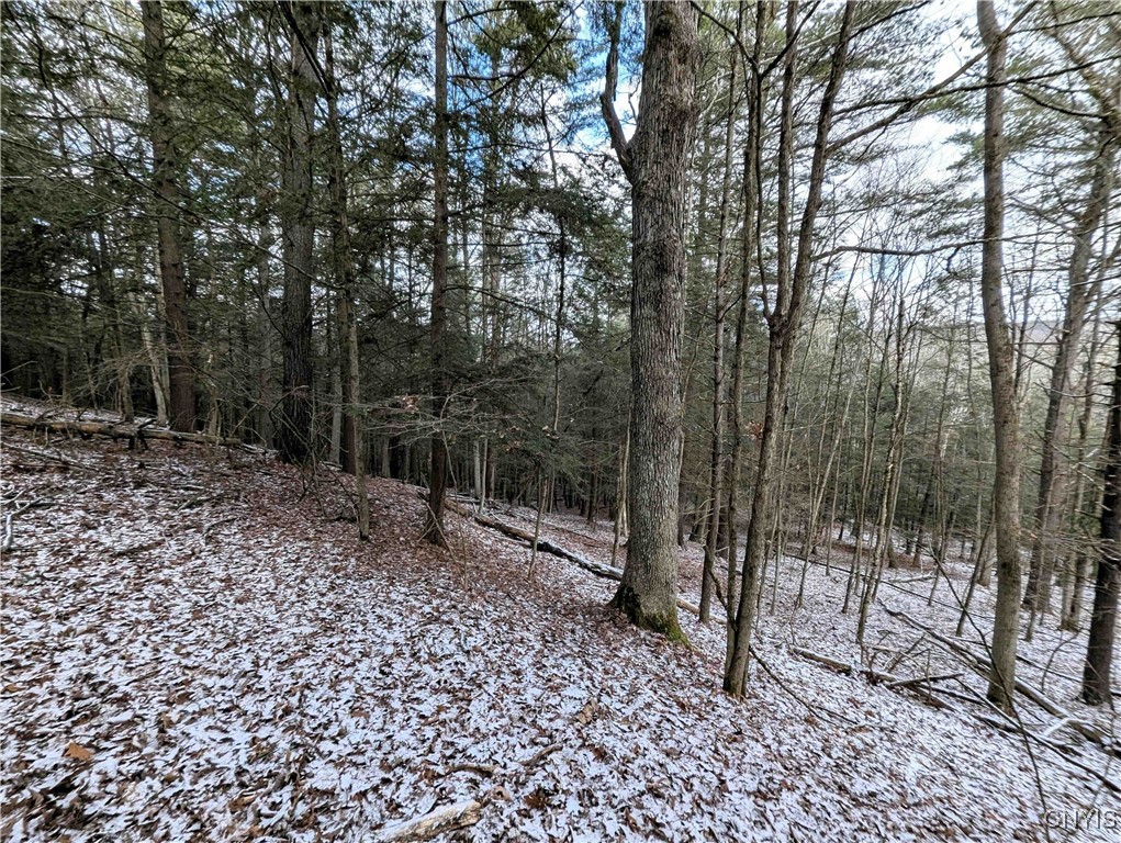 Angel Road Cameron, NY 14819 - Photo 14 of 32