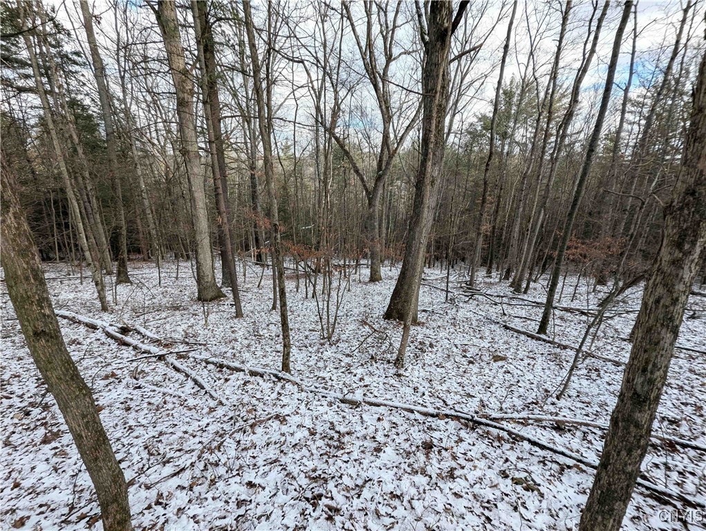 Angel Road Cameron, NY 14819 - Photo 15 of 32