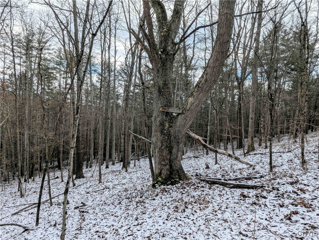 Angel Road Cameron, NY 14819 - Photo 16 of 32